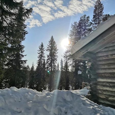Mantytupa Lodge Syöte Eksteriør billede
