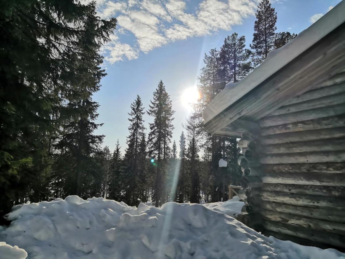 Mantytupa Lodge Syöte Eksteriør billede